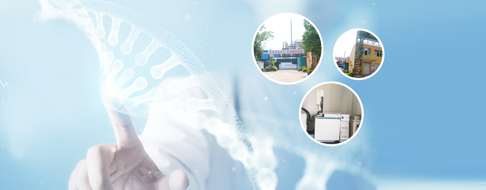 河北澤碩藥業(yè)科技有限公司